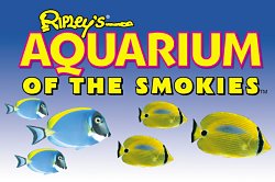 Ripleys Aquarium Of The Smokies Tickets Available At Riveredge Motor Lodge - Family Vacation Packages